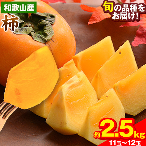 和歌山県産 和歌山県産 柿 約2.5kg 11玉-12玉 前商店《9月下旬-11月中旬頃出荷》柿 かき フルーツ スイーツ 果物 送料無料 343641 - 和歌山県紀の川市