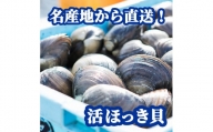 北海道厚真町近海で獲れた　活ほっき貝　10～12個セット