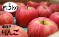 予約受付/９月収穫次第発送開始【家庭用/北上産】りんご 約5kgセット