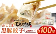 015-24 ひぃ坊家の黒豚餃子3種100個(タレ付）