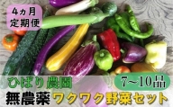 【定期便4回】ひばり農園 の 無農薬  ワクワク  野菜セット 【1241】