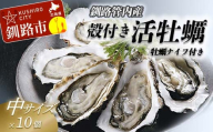 【ぷりっぷりで濃厚！】釧路管内産【活】牡蠣（中）10個（カキナイフ付き） ふるさと納税 牡蠣 F4F-7739