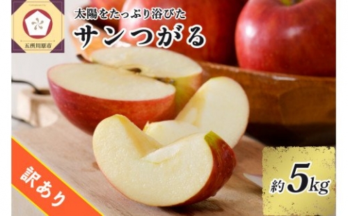 訳あり りんご 5kg  9月 サンつがる  青森【2022年 リンゴ 林檎 果物 クール便】 