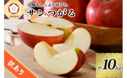 訳あり りんご 10kg 9月 サンつがる 青森 【2022年 リンゴ 林檎 果物 クール便】