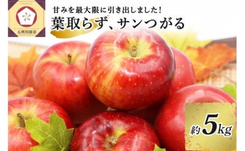 9月 りんご 5kg 葉とらず サンつがる 青森 【2022年 リンゴ 林檎 果物 】
