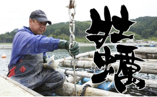 牡蠣のガンガン焼きと海の幸セット【2023年3月前半】 346829 - 岩手県陸前高田市