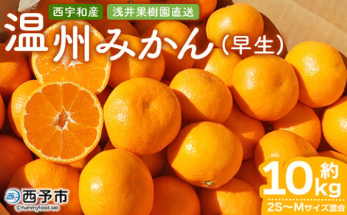 【C76】浅井果樹園直送 西宇和産温州みかん10kg 早生(数量限定) 347017 - 愛媛県西予市