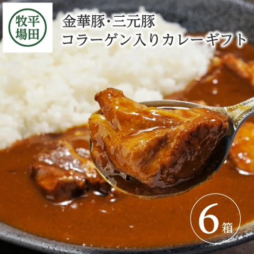 SC0503　日本の米育ち金華豚・三元豚コラーゲン入りカレーギフト 34703 - 山形県酒田市