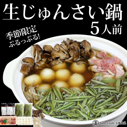 生じゅんさい鍋 5人前《冷蔵》（2026年5月上旬頃～7月下旬までに発送予定） 347238 - 秋田県三種町