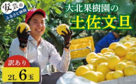 訳あり 土佐文旦 2L 6玉 家庭用 柑橘 フルーツ 文旦 みかん 蜜柑 ぶんたん ブンタン 冬 旬 果物 果物類 新鮮 お裾分け デザート おやつ 柑橘 産地直送 送料無料 訳アリ 大玉 小玉 文旦高知 高知県 安芸市