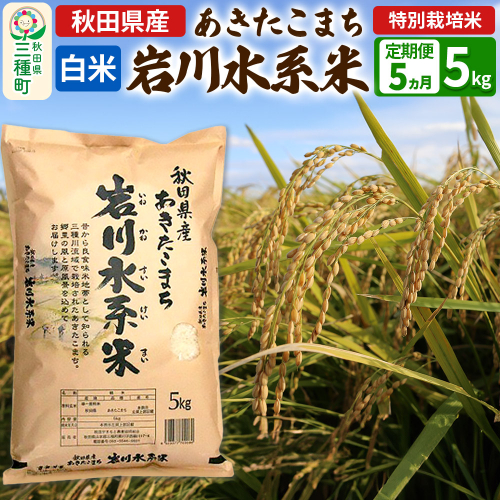 《定期便5ヶ月》【白米】あきたこまち 岩川水系米 5kg(5kg×1袋)×5回 令和7年産   347251 - 秋田県三種町