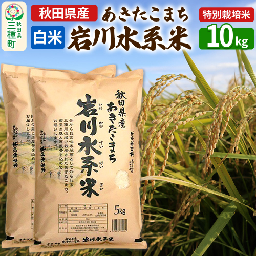 【白米】あきたこまち 岩川水系米 10kg(5kg×2袋) 令和7年産   347252 - 秋田県三種町