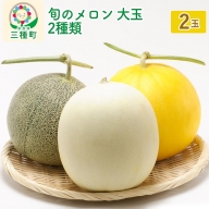 [予約]旬のメロン 大玉 2種類 2玉 果物 フルーツ 秋田県産