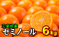 三重県産　セミノールオレンジ ６kg【出荷目安：３月下旬〜４月下旬】　II-37