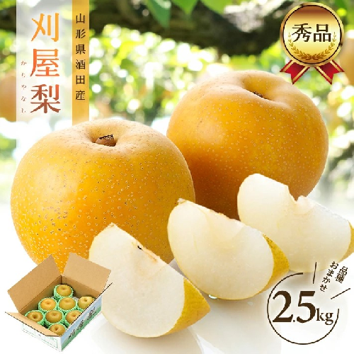 SA2587 酒田の美味しい刈屋梨(和梨) 秀品 2.5kg以上(6~9玉入) 品種おまかせ 34740 - 山形県酒田市