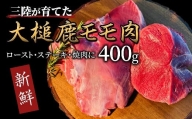 【ジビエ】大槌産 鹿肉（モモ肉 200g×2パック 計400g）｜岩手県 大槌ジビエ いわて iwate 三陸 MOMIJI