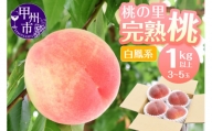 桃の里 完熟桃 白鳳系 1kg以上（3〜5玉）【2024年発送】（HK）B-441