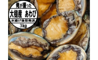 【2026年11月～12月発送】アワビ 約3kg (20個前後) ※アワビヘラ＆軍手付き※【期間限定】【35】｜冷蔵 三陸 岩手県 大槌町 あわび 人気 鮑 刺身 いわて iwate 2026 初栄丸