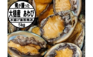 【2026年11月～12月発送】活アワビ 5kg (35個前後) ※アワビヘラ＆軍手付き※【期間限定】【35】｜冷蔵 三陸 岩手県 大槌町 あわび 人気 鮑 いわて iwate 2026 初栄丸