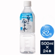 AS-501 【先行予約】夏に飲む水 500mlペットボトル 24本 【6～10月発送】 こしき海洋深層水