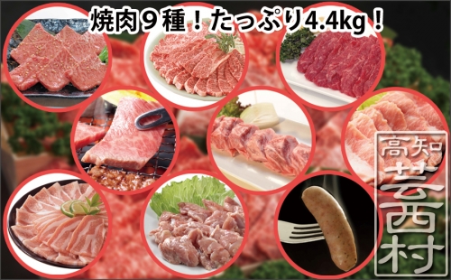 土佐の焼肉特大袋4.4kg 牛肉 豚肉 鶏肉 ソーセージ