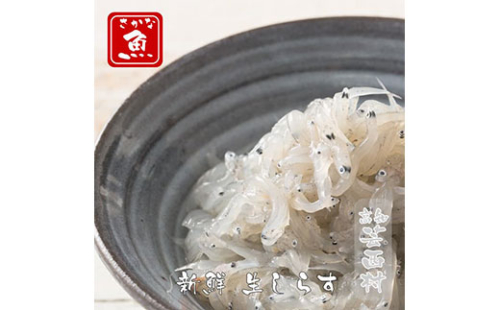 Z1804SM-C　高知産「生シラス」イワシ稚魚100g×5パック入り(タレ付） 34976 - 高知県芸西村