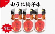 鯖江の伝統薬味「山うに」柚子赤３本セット 　辛口　[A-01003b]