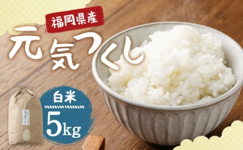 福岡県産 元気つくし 白米 5㎏ 無農薬 お弁当