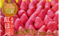 南伊豆町産いちご（紅ほっぺ）１箱300g×２パック（デラックスパック）（2020年第31回静岡県いちご果実品評会入賞）