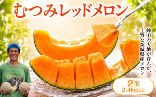 【2027年先行予約】 メロン 赤肉 1.2kg以上×2玉 むつみレッドメロン メロン めろん 舐瓜 メロン 産地直送 めろん 舐瓜 メロン BMW農法 舐瓜 めろん 旬 国産 メロン 舐瓜 めろん フルーツ メロン 果物 めろん 舐瓜 ギフト プレゼント 舐瓜 メロン めろん 贈り物 茨城 鉾田 方波見農園 351980 - 茨城県鉾田市