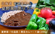 北海道 東神楽町の夏野菜と黒豆カレーのセット