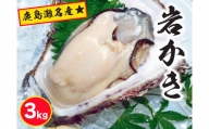 鹿島灘名産★天然岩牡蠣（約3kg）（KBL-8）