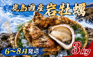 牡蠣 かき 3kg 岩かき 岩がき 旬 岩牡蠣 貝 天然かき 海産物 シーフード 海 鹿島灘 鹿島灘産 濃厚 国産 クリーミー 磯の旨味 栄養豊富 牡蛎 天然 産地直送 殻 海 海のチーズ 海のミルク 素潜り ごちそう お中元 御馳走 プレゼント グルメ 暑中見舞い 残暑見舞い 天然岩牡蠣 茨城県 鹿嶋市 [2026年6〜8月発送]