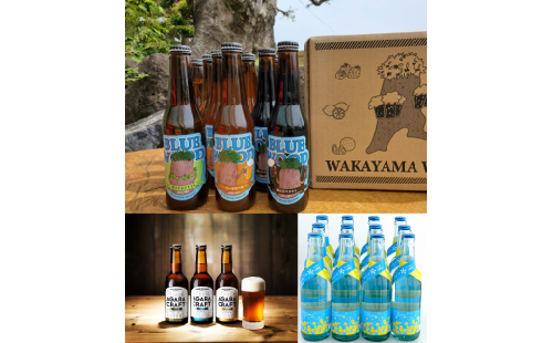 J393 お酒定期便 全3回(3ヶ月) 和歌山県 地ビール ワイン クラフトビール 352260 - 和歌山県和歌山県庁