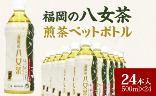 福岡の八女茶煎茶ペットボトル500ml×24本