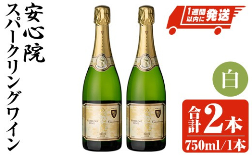 安心院スパークリングワイン 白(計1.5L・750ml×2本)酒 お酒 ワイン 白ワイン スパークリングワイン ぶどう 葡萄【107302602】【時枝酒店】 352513 - 大分県宇佐市