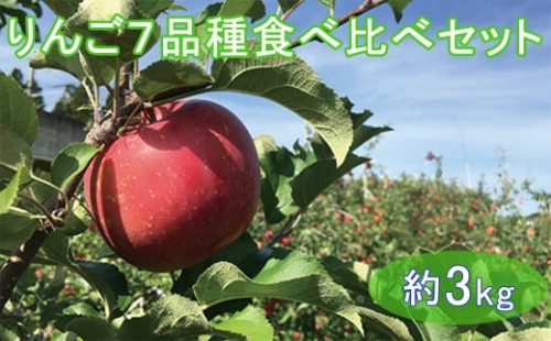 希少品種・ りんご 食べ比べ セット  約3kg 【予約受付】  サンふじ  大夢  はるか  王林 【1245】