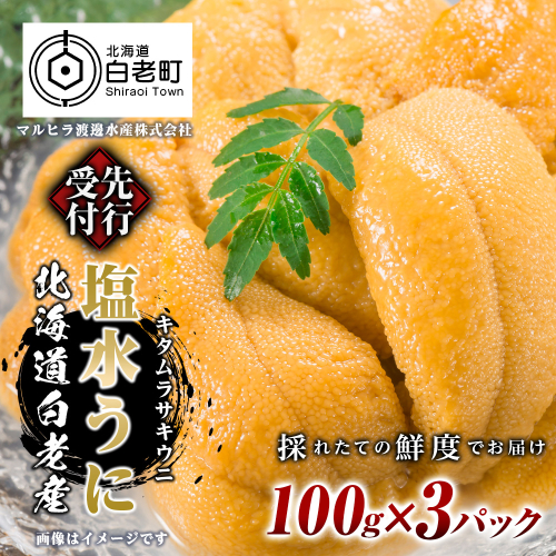 2026年発送 先行受付 ウニ本来の味が楽しめる【白老産】塩水ムラサキウニ 100g×3パック [BT009] 354331 - 北海道白老町