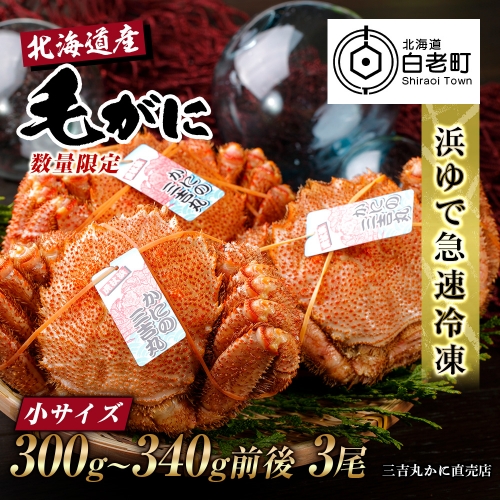 【小サイズ】北海道産 冷凍ボイル毛ガニ (300g-340g前後) 3尾