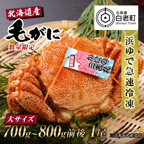 【大サイズ】北海道産 冷凍ボイル毛ガニ (700g-800g前後) 1尾