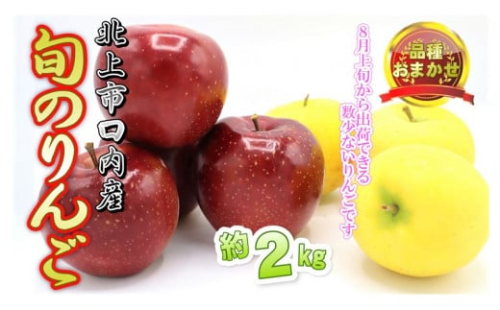 予約受付 8月上旬～発送予定　【 品種おまかせ 】りんご 約 2kg セット  北上市/口内産  りんご 果物 フルーツ おやつ お土産 お歳暮 お中元 お祝い 子供 ファミリー 家庭 金成園 岩手県 北上市 A0170　