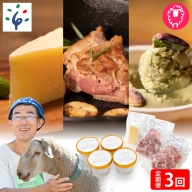 350019 【定期便/年3回】ピスタチオと羊乳フロマージュブランのジェラート・羊肉・羊乳チーズ」セット