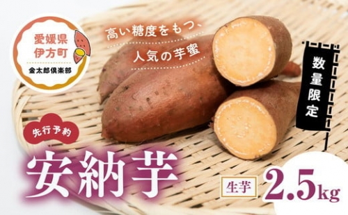 【数量限定】安納芋 生芋（2.5kg）| さつまいも サツマイモ 産地直送 ※2022年12月上旬～2023年4月下旬頃に順次発送予定 355023 - 愛媛県伊方町