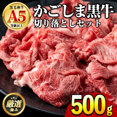 【0121726a】鹿児島県産黒毛和牛！A5等級の切り落とし(約500g)牛肉 肉 切落し 切り落し 和牛 冷凍 国産 お肉 牛丼 野菜炒め カレー 冷凍【前田畜産たかしや】 35532 - 鹿児島県東串良町