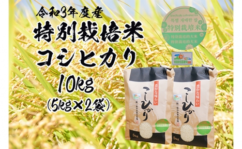 令和三年産特別栽培米　コシヒカリ　10kg