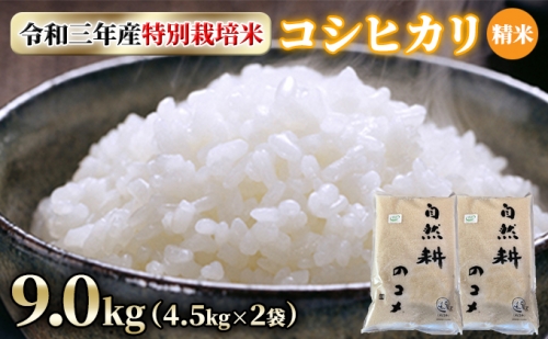 令和三年産特別栽培米コシヒカリ9.0kg（4.5kg×2袋）精米 355334 - 茨城県常総市