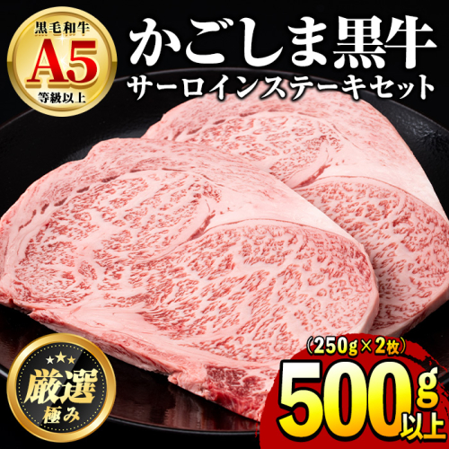 【30963】鹿児島県産黒毛和牛！A5等級サーロインステーキ(計500g・約250g×2枚) 国産 牛肉 肉 冷凍 サーロイン 鹿児島 ステーキ 焼肉 BBQ バーベキュー 【前田畜産たかしや】 35539 - 鹿児島県東串良町