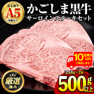 【30963】《10営業日以内に発送！》鹿児島県産黒毛和牛！A5等級サーロインステーキ(計500g・約250g×2枚) 国産 牛肉 肉 冷凍 サーロイン 鹿児島 ステーキ 焼肉 BBQ バーベキュー 【前田畜産たかしや】