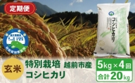 【定期便4回】（令和5年度新米 玄米）特別栽培 越前市産コシヒカリ 5kg×4回