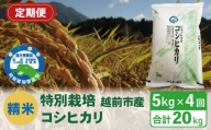 【定期便4回】（令和5年度新米 精米）特別栽培 越前市産コシヒカリ 5kg×4回